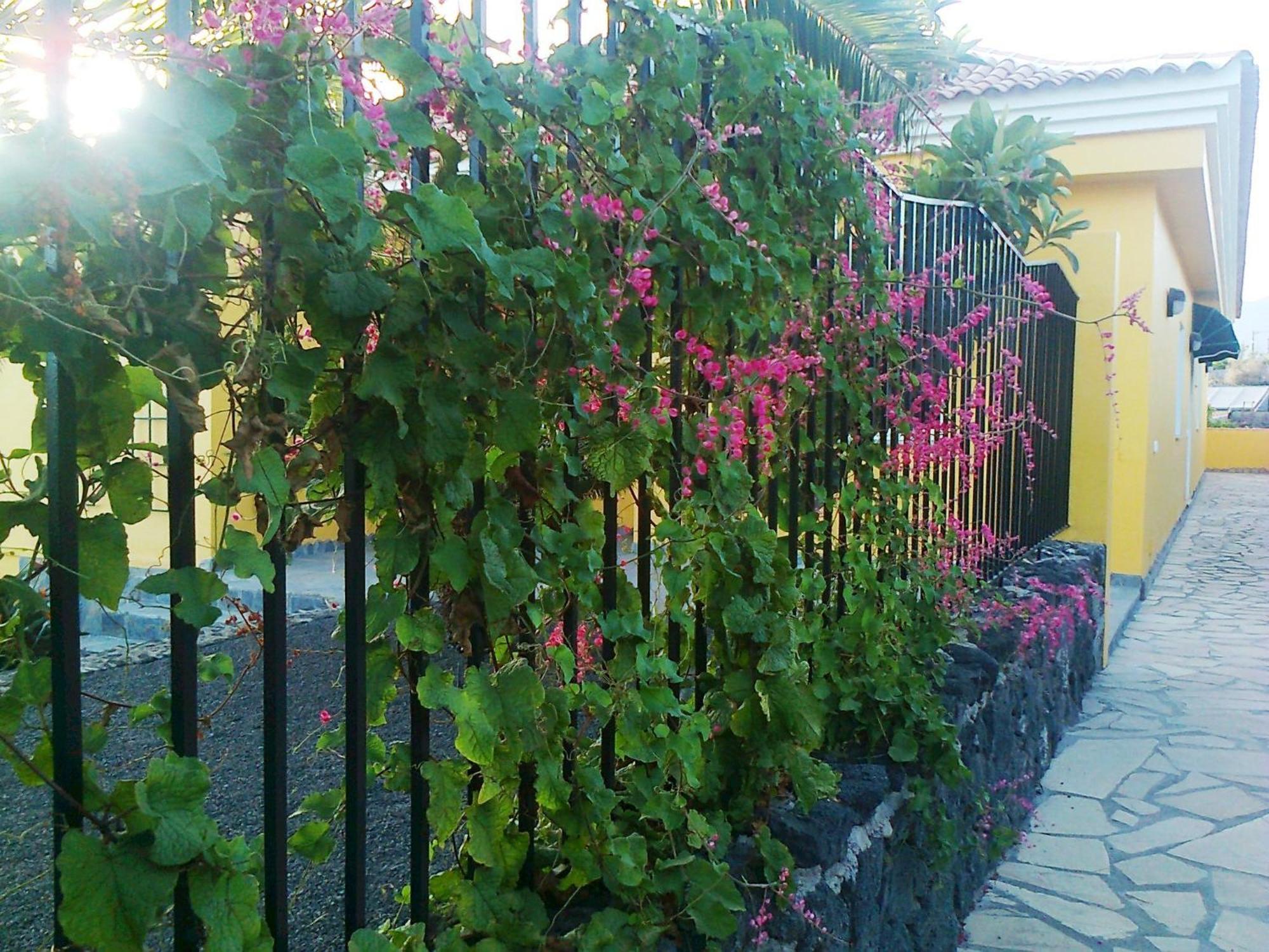Appartement Vv Complejo Vacacional Villamaria Los Llanos De Aridane