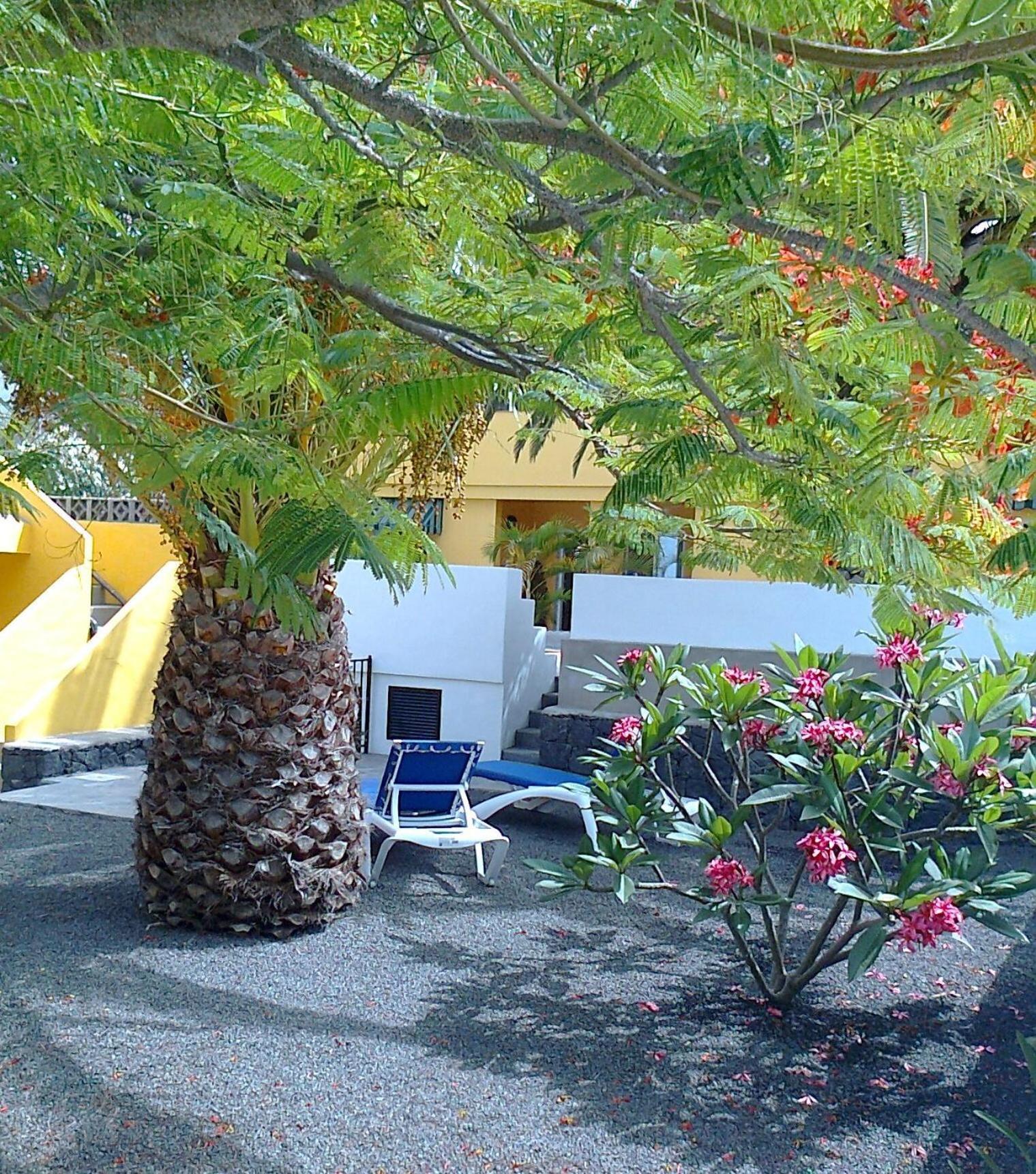 Vv Complejo Vacacional Villamaria Los Llanos De Aridane
